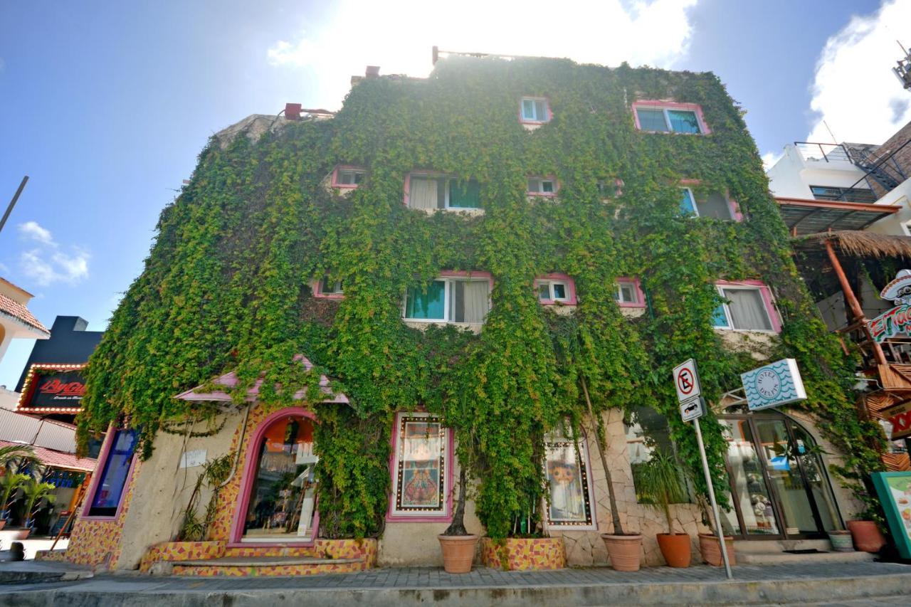 Boutique Hotel Delfin 5Th Avenue Πλάγια Ντελ Κάρμεν Εξωτερικό φωτογραφία