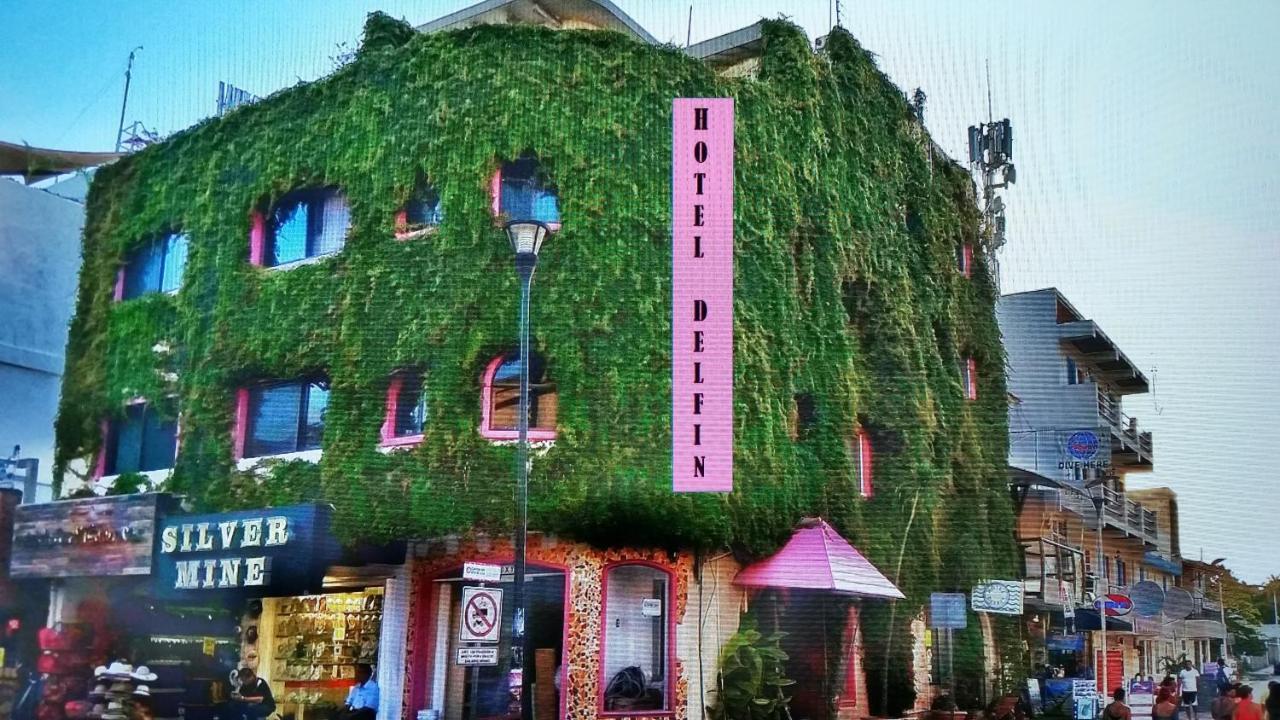 Boutique Hotel Delfin 5Th Avenue Πλάγια Ντελ Κάρμεν Εξωτερικό φωτογραφία