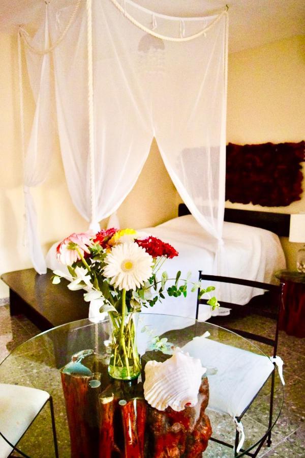 Boutique Hotel Delfin 5Th Avenue Πλάγια Ντελ Κάρμεν Εξωτερικό φωτογραφία