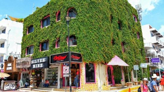 Boutique Hotel Delfin 5Th Avenue Πλάγια Ντελ Κάρμεν Εξωτερικό φωτογραφία