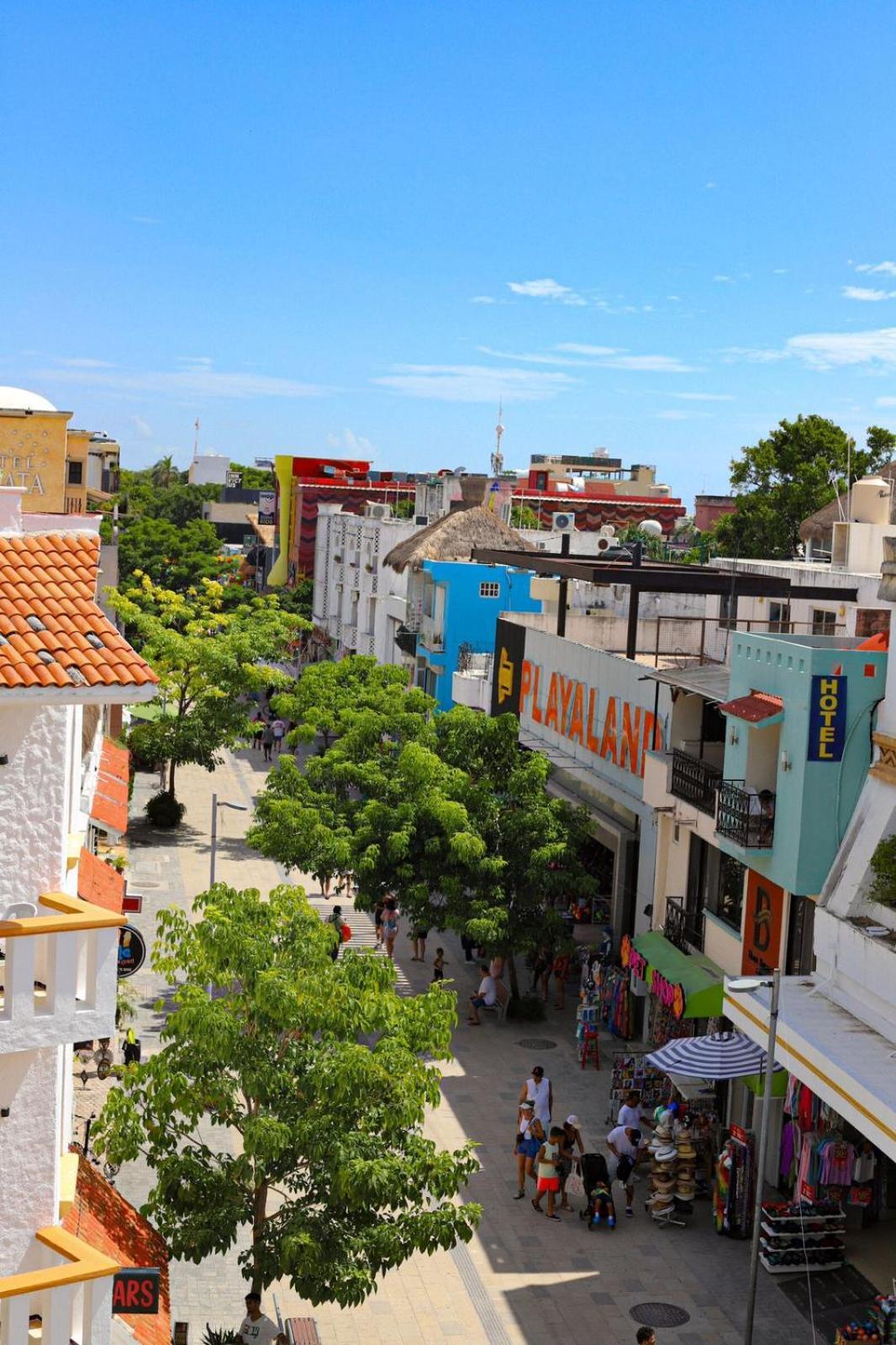 Boutique Hotel Delfin 5Th Avenue Πλάγια Ντελ Κάρμεν Εξωτερικό φωτογραφία