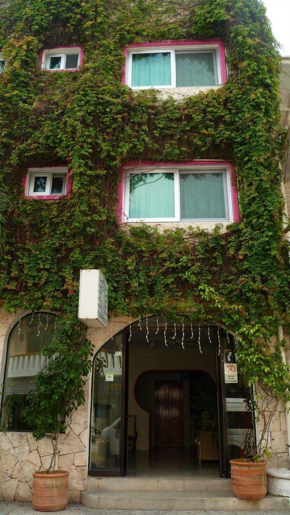 Boutique Hotel Delfin 5Th Avenue Πλάγια Ντελ Κάρμεν Εξωτερικό φωτογραφία