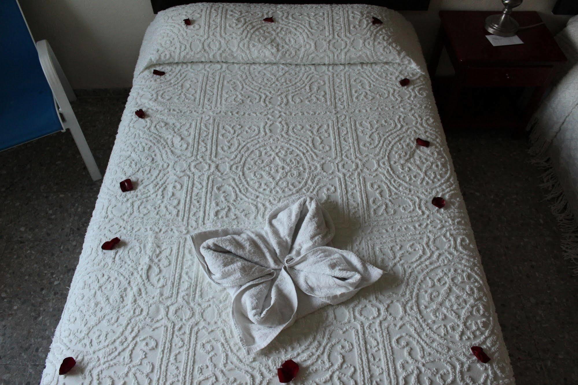 Boutique Hotel Delfin 5Th Avenue Πλάγια Ντελ Κάρμεν Εξωτερικό φωτογραφία