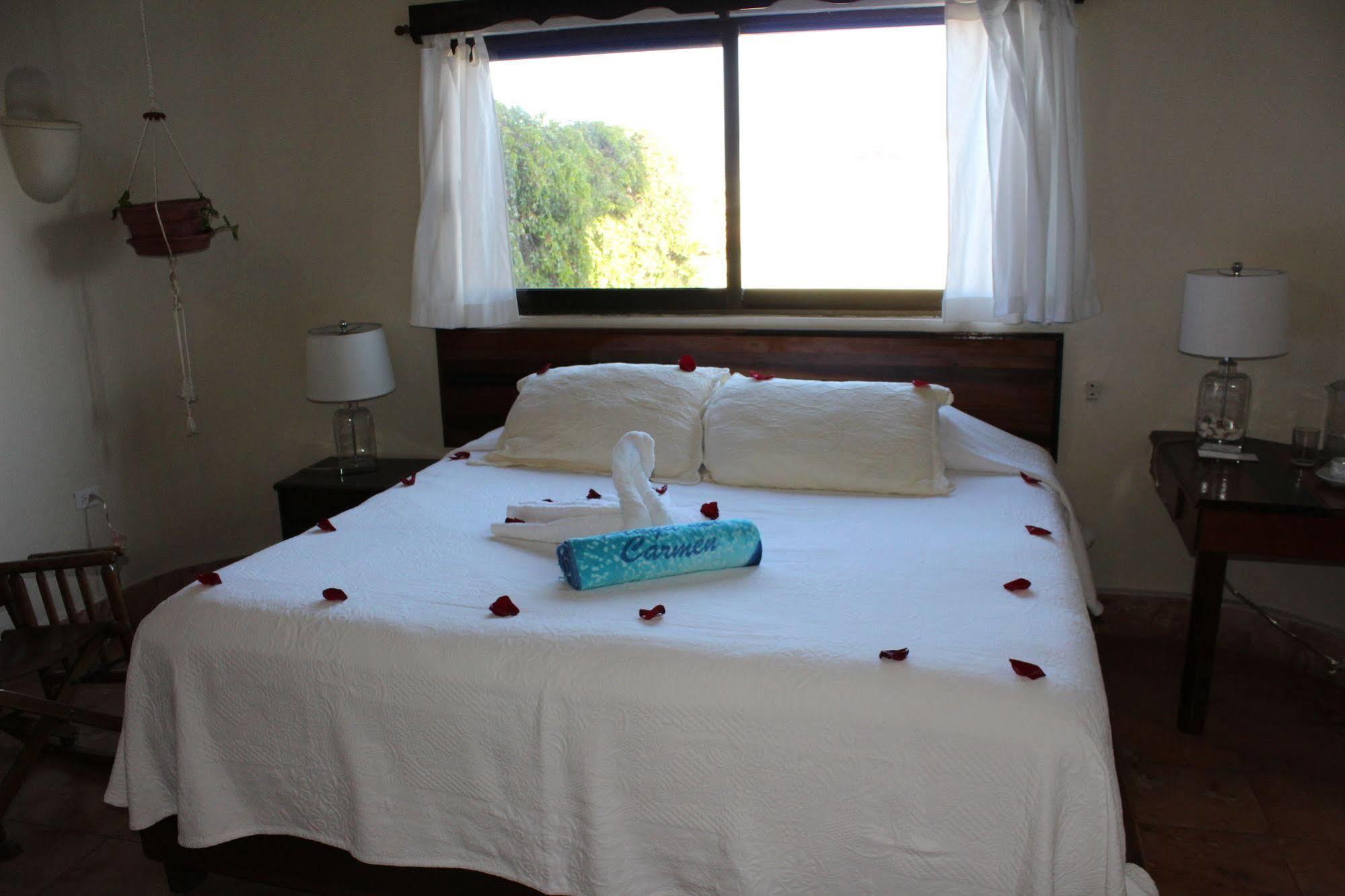 Boutique Hotel Delfin 5Th Avenue Πλάγια Ντελ Κάρμεν Εξωτερικό φωτογραφία